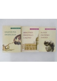 Zaginiona Ewangelia / Notes Michała Anioła / Bractwo Świętego Całunu
