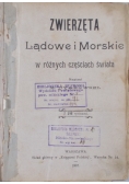 Zwierzęta Lądowe i Morskie w  różnych częściach świata 1907r.