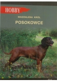 Posokowce