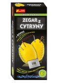 Zegar z cytryny