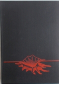 Wyspy bezludne