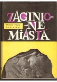 Zaginione miasta
