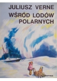 Wśród lodów polarnych