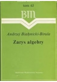 Zarys algebry