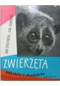 Styczyński Jan - Zwierzęta bliskie i dalekie