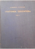 Anatomia człowieka Tom V
