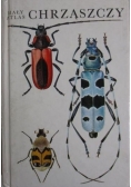 Mały atlas chrząszczy
