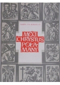 Mój Chrystus połamany