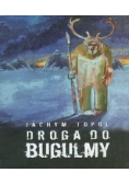 Droga do Bugulmy