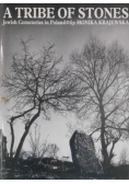 A Teribe of Stones.  Jewish Cemeteries in Poland