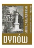 Dynów. Studia z dziejów miasta