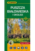 Puszcza Białowieska i okolice