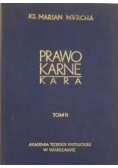 Prawo karne. Kara tom II