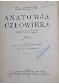 Anatomja człowieka , Tom I,1924r.