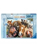 Puzzle 500 Selfies Wesołe konie