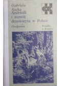 Andriolli i rozwój drzeworytu w Polsce