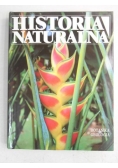 Historia naturalna. Botanika, geologia