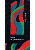 Serce w płomieniach