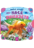 Maluch poznaje małe zwierzęta
