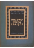 Drzewo rozpaczające, 1950 r.