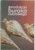 Produkcja buraka  cukrowego