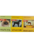 Pekińczyk, Sznaucer, Bernardyni