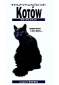 Trzynaście kotów Antologia