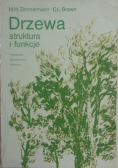 Drzewa struktura i funkcje