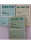Matematyka dla wydziałów budowlanych i mechanicznych, Tom I-III