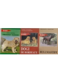 Hobby, zestaw 3 książek