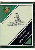 Nad poziomy