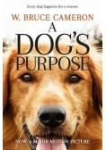 A Dog's Purpose