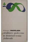 Struktura społeczna w doświadczeniu jednostki