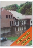 Monografia Gilowic