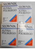 Słownik języka polskiego PWN, Tom I-III