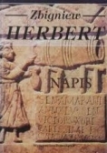Napis