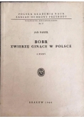 Bóbr zwierzę ginące w Polsce