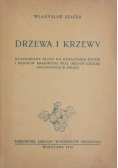 Drzewa i krzewy, 1949r.