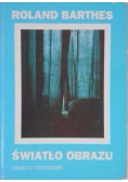 Światło obrazu. Uwagi o fotografii