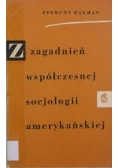 Zagadnienia współczesnej socjologii amerykańskiej
