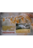 Pustelnia Złotego Lasu w Rytwianach. Przewodnik