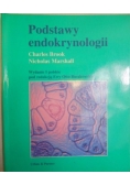 Podstawy endokrynologii