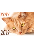 Kalendarz 2018 Koty