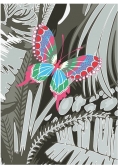 Karnet B6 z kopertą Butterfly