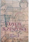 Dzieje Rzeszowa tom I