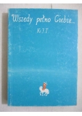 Wszędy pełno Ciebie