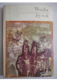 Woda żywa. Baśnie pisarzy polskich