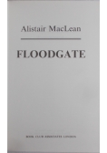 Floodgate