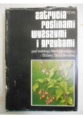 Zatrucia roślinami wyższymi i grzybami