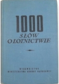 1000 słów o lotnictwie